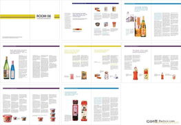常州企業(yè)品牌升級(jí)之道 產(chǎn)品說明書、平面廣告與企業(yè)形象策劃的全面協(xié)同